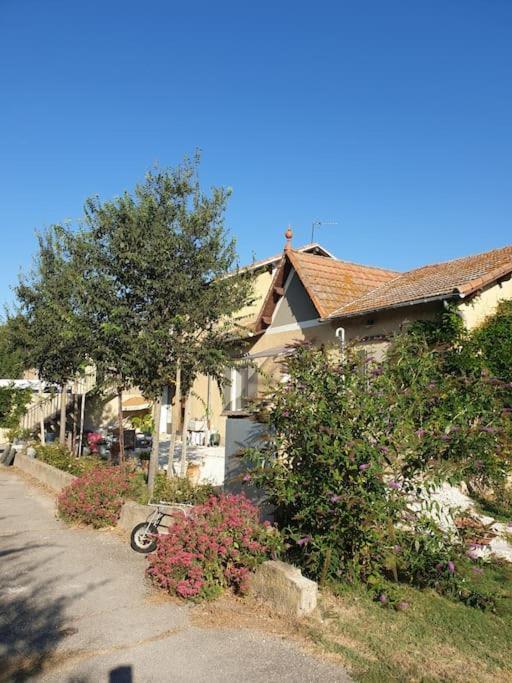 St Remy De Provence, La Maison Du Berger Saint-Andiol Exteriér fotografie