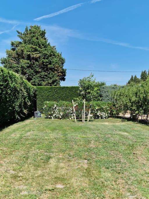 St Remy De Provence, La Maison Du Berger Saint-Andiol Exteriér fotografie