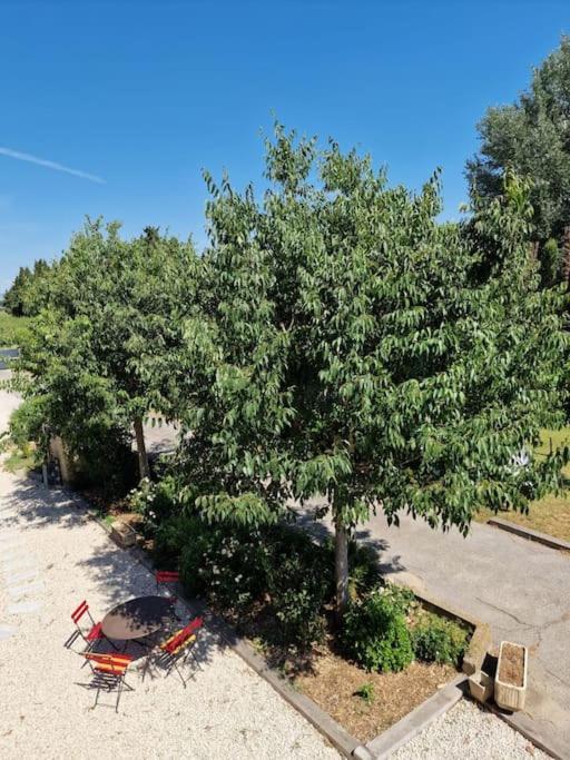 St Remy De Provence, La Maison Du Berger Saint-Andiol Exteriér fotografie